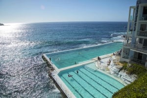 Sydney: Privat tur til Sydneys beste strender