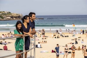 Sydney: Privat tur til Sydneys beste strender