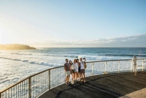 Sydney: Privat tur til Sydneys beste strender