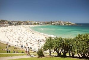 Sydney: Privat tur til Sydneys beste strender