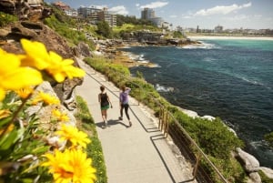 Sydney: Privat tur til Sydneys beste strender