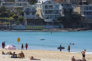 Sydney: Privat tur til Sydneys beste strender