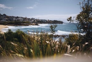 Sydney: Privat tur til Sydneys beste strender