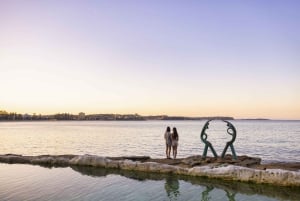 Sydney: Privat tur til Sydneys beste strender