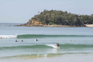 Sydney: Privat tur til Sydneys beste strender