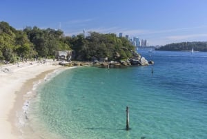 Sydney: Privat tur til Sydneys beste strender