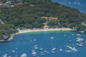 Sydney: Privat tur til Sydneys beste strender