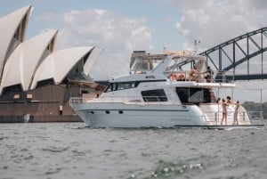 Sydney: crociera privata per l'avvistamento delle balene