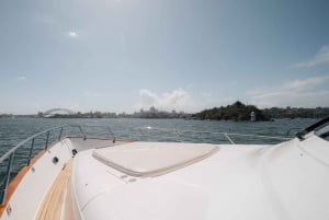 Sydney: crociera privata per l'avvistamento delle balene