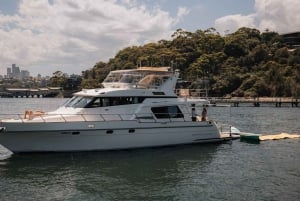 Sydney: crociera privata per l'avvistamento delle balene