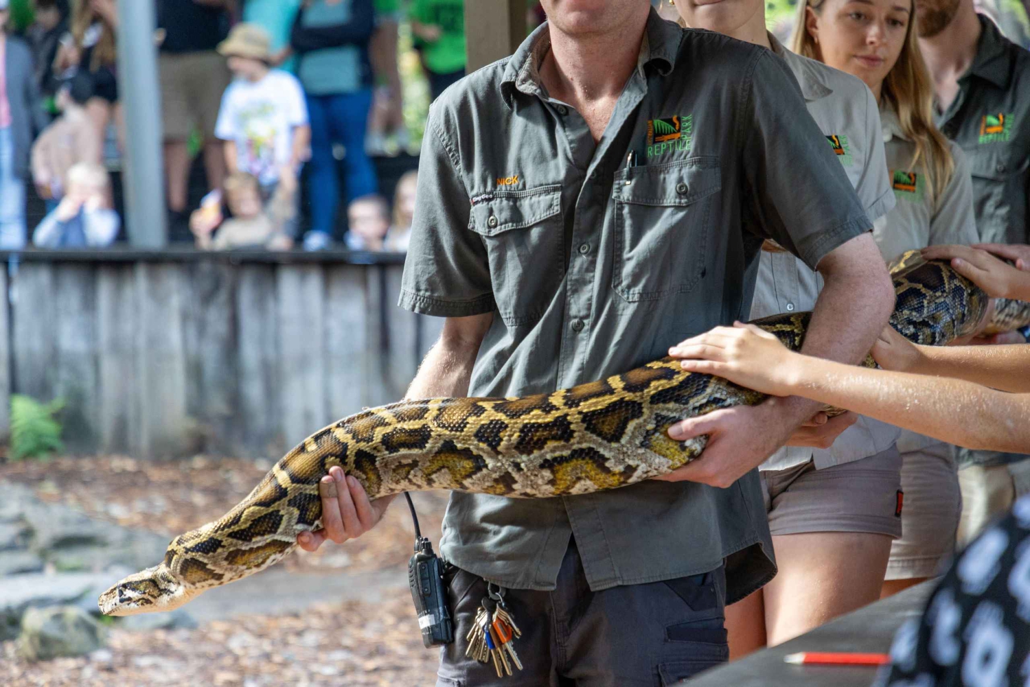 Sydney: Park gadów i plaża Avoca - 1-dniowa wycieczka z wstępem