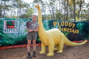 Sydney: Reptile Park and Avoca Beach Day Trip with Entry