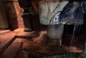 Sydney: Reptile Park and Avoca Beach Day Trip with Entry