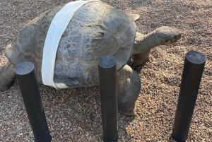 Sydney: Reptile Park and Avoca Beach Day Trip with Entry
