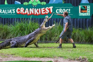 Sydney: Park gadów i plaża Avoca - 1-dniowa wycieczka z wstępem