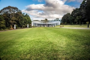 Sydney: Smarttelefonjakt i Royal Botanic Gardens