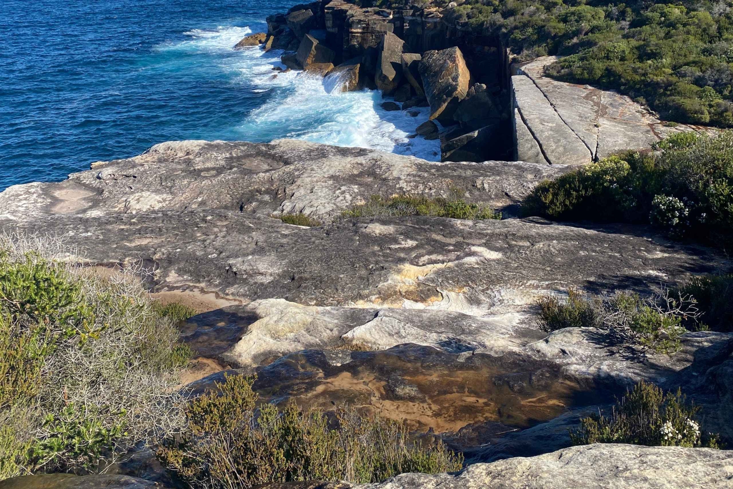 Sydney: Dagstur til Royal National Park med fottur, piknik og svømming