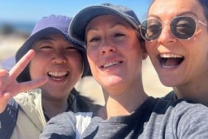 Sydney: Dagstur til Royal National Park med vandretur, picnic og svømning