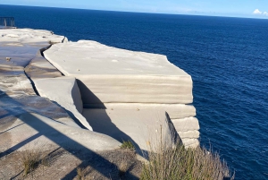 Sydney: Dagstur til Royal National Park med fottur, piknik og svømming
