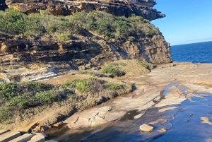 Sydney: Dagstur til Royal National Park med fottur, piknik og svømming