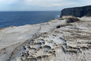 Sydney: Dagstur til Royal National Park med fottur, piknik og svømming