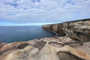 Sydney: Dagstur til Royal National Park med fottur, piknik og svømming