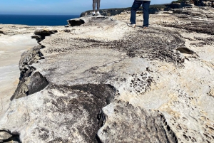 Sydney: Dagstur til Royal National Park med fottur, piknik og svømming