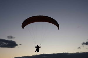 Sydney: Royal National Park private day tour