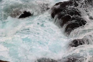 Sydney: Royal National Park private day tour