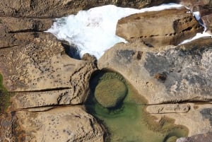 Sydney: Royal National Park private day tour