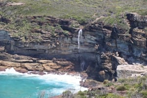 Sydney: Royal National Park private day tour