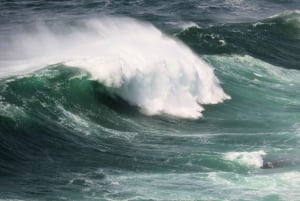 Sydney: Royal National Park private day tour