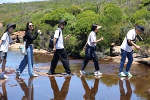 Sydney: Royal National Park private day tour