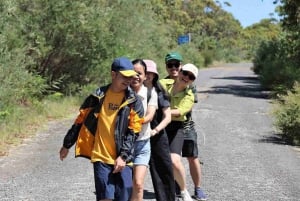 Sydney: Royal National Park private day tour