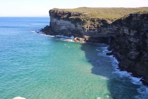 Sydney: Royal National Park private day tour