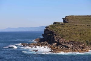 Sydney: Royal National Park private day tour