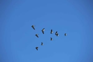 Sydney: Royal National Park private day tour