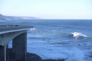 Sydney: Royal National Park private day tour