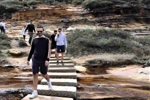 Sydney: Royal National Park private day tour