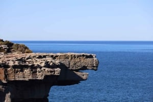 Sydney: Royal National Park private day tour
