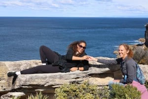 Sydney: Royal National Park private day tour