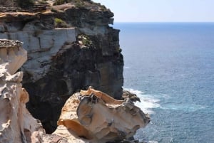Sydney: Royal National Park private day tour