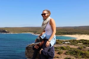 Sydney: Royal National Park private day tour
