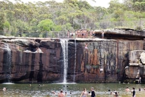 Sydney: Royal National Park private day tour