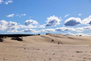 Sydney: Royal National Park private day tour