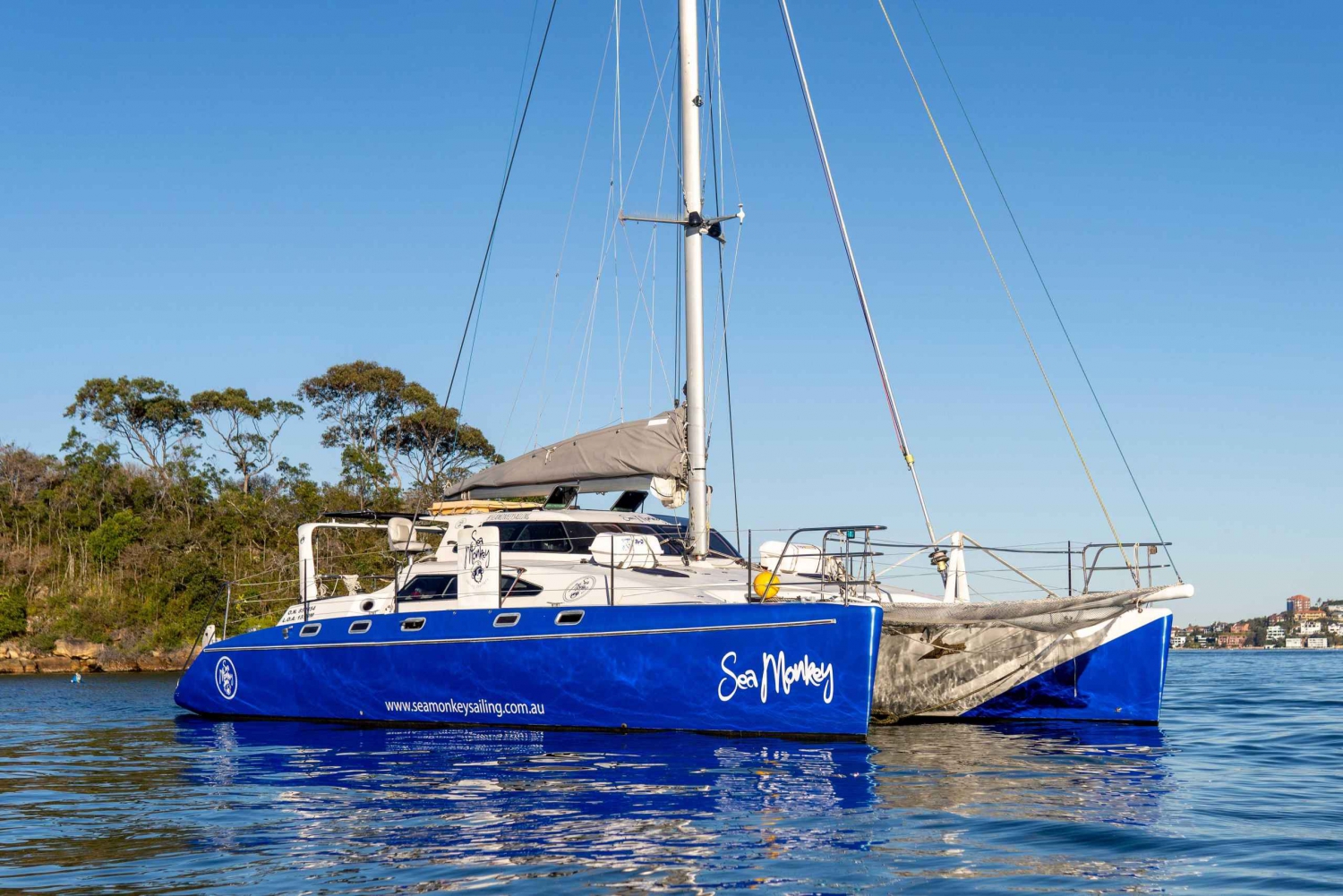Sydney: Segeln und Wale Private Katamaran-Kreuzfahrt