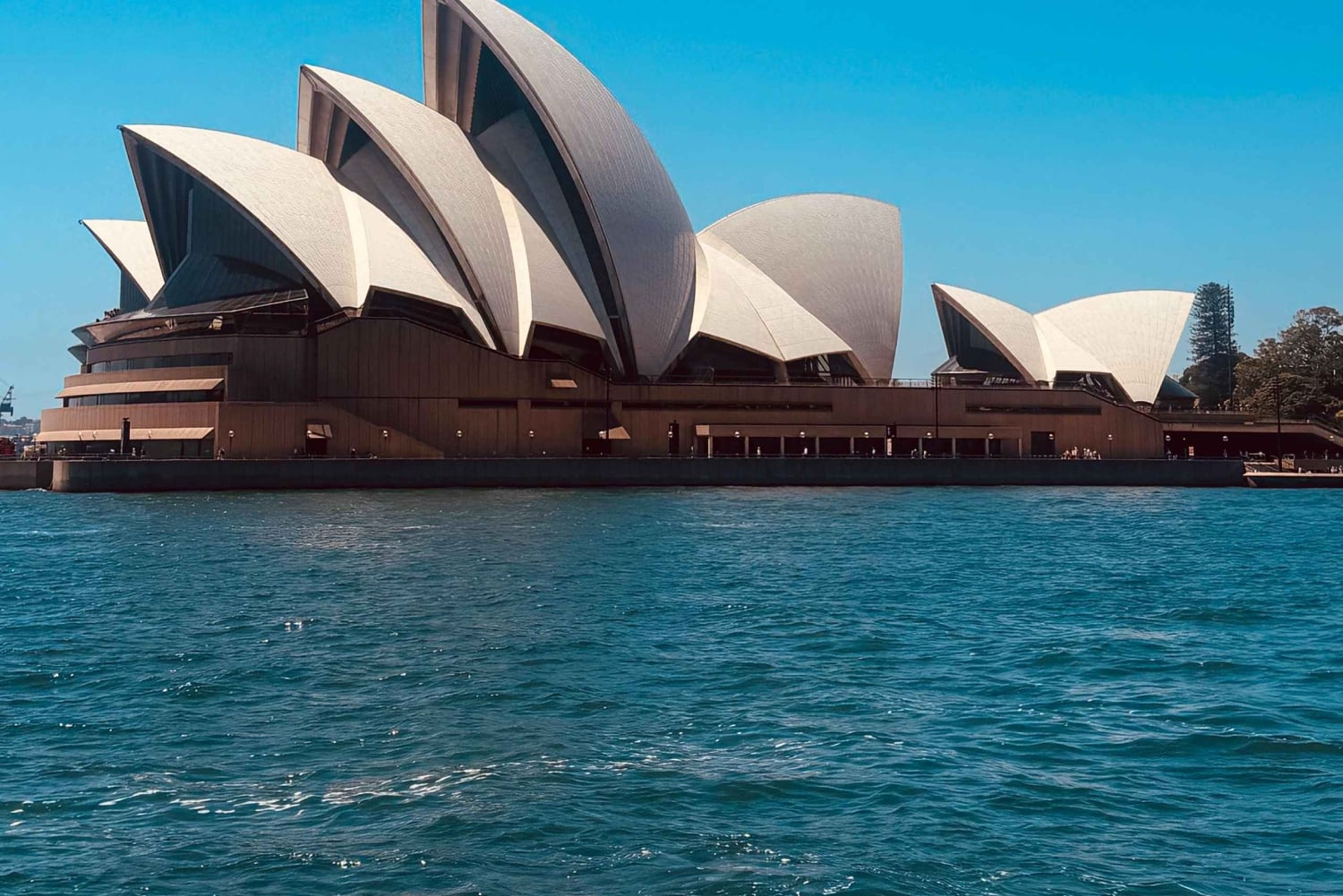 Sydney: Scenic Ferry & Sunset Experience in Watsons Bay