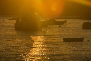 Sydney: Scenic Ferry & Sunset Experience in Watsons Bay