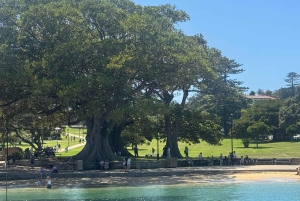 Sydney: Scenic Ferry & Sunset Experience in Watsons Bay