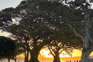 Sydney: Scenic Ferry & Sunset Experience in Watsons Bay